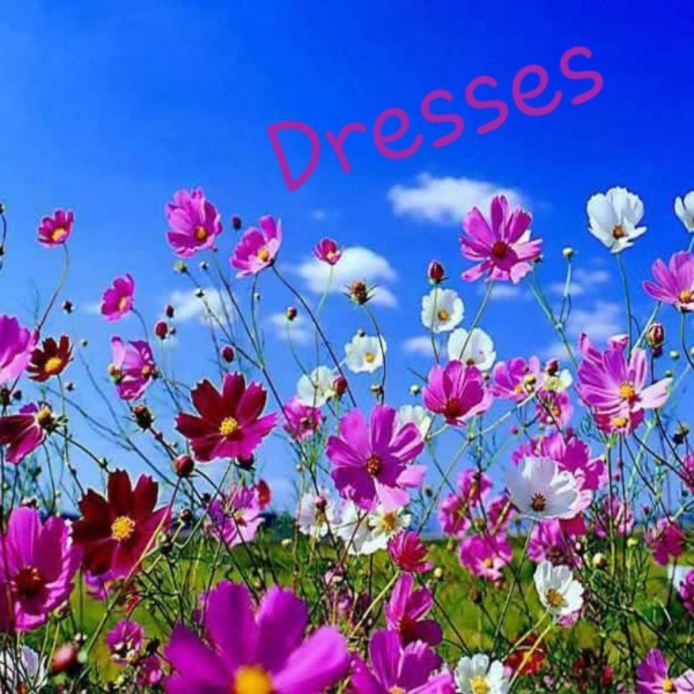 Dresses